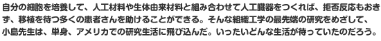 自分の細胞を培養して、人工材料や生体由来材料と組み合わせて人工臓器をつくれば、拒否反応もおきず、移植を待つ多くの患者さんを助けることができる。そんな組織工学の最先端の研究をめざして、小島先生は、単身、アメリカでの研究生活に飛び込んだ。いったいどんな生活が待っていたのだろう。