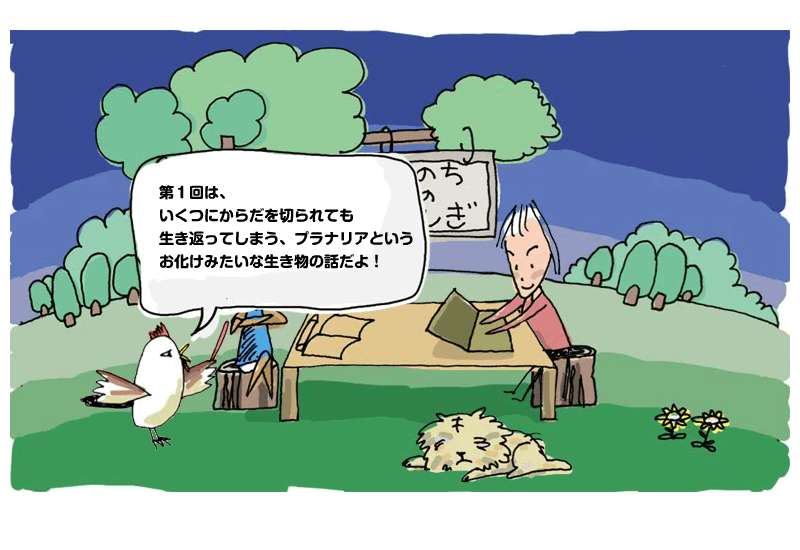 第1回 フクロウ博士の森の教室 シリーズ1 生命科学の基本と再生医療 中高生と いのちの不思議 を考える 生命科学dokidoki研究室 第1回 フクロウ博士の森の教室 シリーズ1 生命科学の基本と再生医療 中高生と いのちの不思議 を考える 生命科学dokidoki研究室