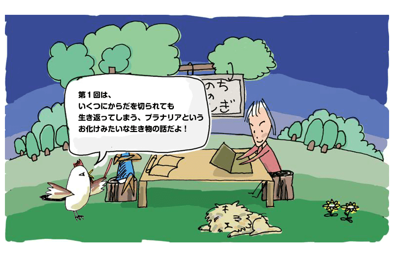 第1回 フクロウ博士の森の教室 シリーズ1 生命科学の基本と再生医療 中高生と いのちの不思議 を考える 生命科学dokidoki研究室