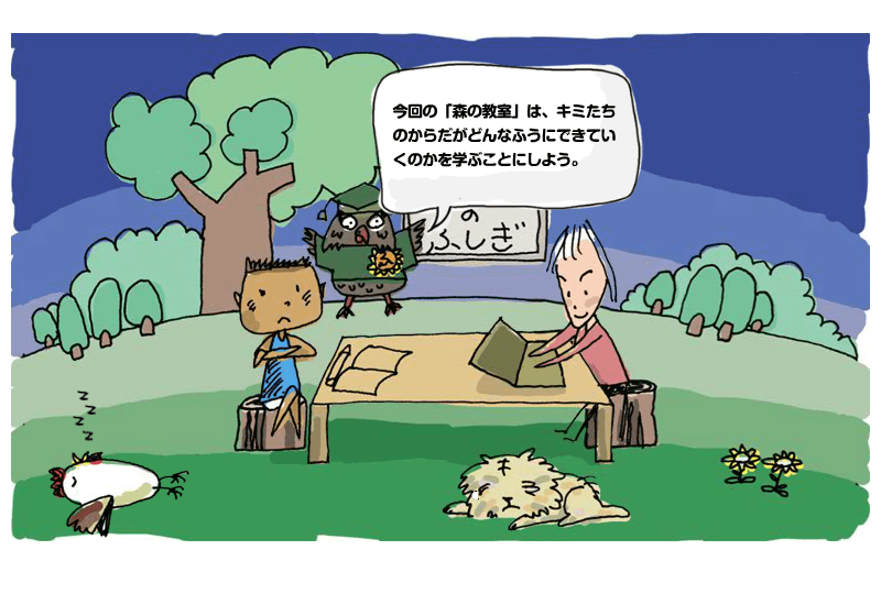 第2回 フクロウ博士の森の教室 シリーズ1 生命科学の基本と再生医療 中高生と いのちの不思議 を考える 生命科学dokidoki研究室 第2回 フクロウ博士の森の教室 シリーズ1 生命科学の基本と再生医療 中高生と いのちの不思議 を考える 生命科学dokidoki研究室