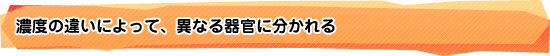 濃度の違いによって、異なる器官に分かれる