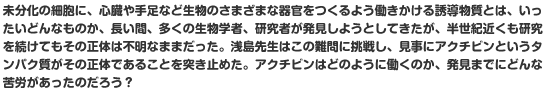 未分化の細胞に、心臓や手足など生物のさまざまな器官をつくるよう働きかける誘導物質とは、いったいどんなものか、長い間、多くの生物学者、研究者が発見しようとしてきたが、半世紀近くも研究を続けてもその正体は不明なままだった。浅島先生はこの難問に挑戦し、見事にアクチビンというタンパク質がその正体であることを突き止めた。アクチビンはどのように働くのか、発見までにどんな苦労があったのだろう?