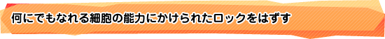 何にでもなれる細胞の能力にかけられたロックをはずす