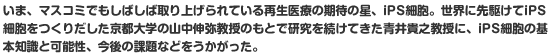 いま、マスコミでもしばしば取り上げられている再生医療の期待の星、iPS細胞。世界に先駆けてiPS細胞をつくりだした京都大学の山中伸弥教授のもとで研究を続けてきた青井貴之教授に、iPS細胞の基本知識と可能性、今後の課題などをうかがった。