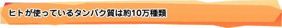 ヒトが使っているタンパク質は約10万種類