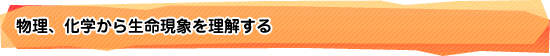 物理、化学から生命現象を理解する