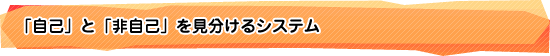 「自己」と「非自己」を見分けるシステム