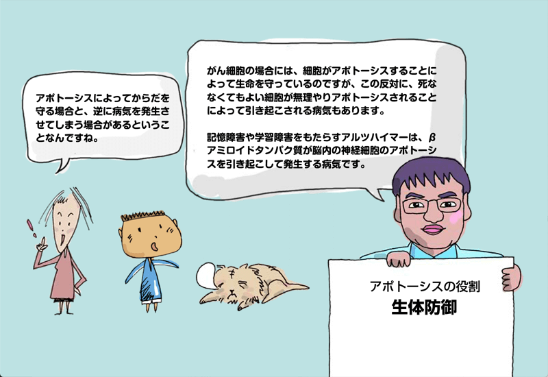 第7回 フクロウ博士の森の教室 シリーズ1 生命科学の基本と再生医療 中高生と いのちの不思議 を考える 生命科学dokidoki研究室