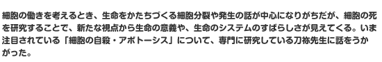 細胞の働きを考えるとき、生命をかたちづくる細胞分裂や発生の話が中心になりがちだが、細胞の死を研究することで、新たな視点から生命の意義や、生命のシステムのすばらしさが見えてくる。いま注目されている「細胞の自殺・アポトーシス」について、専門に研究している刀祢先生に話をうかがった。