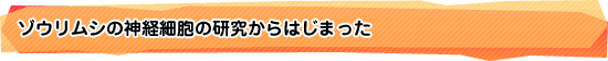 ゾウリムシの神経細胞の研究からはじまった