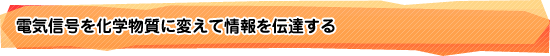 電気信号を化学物質に変えて情報を伝達する