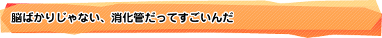 脳ばかりじゃない、消化管だってすごいんだ