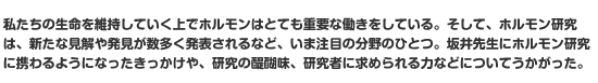 私たちの生命を維持していく上でホルモンはとても重要な働きをしている。そして、ホルモン研究は、新たな見解や発見が数多く発表されるなど、いま注目の分野のひとつ。坂井先生にホルモン研究に携わるようになったきっかけや、研究の醍醐味、研究者に求められる力などについてうかがった。