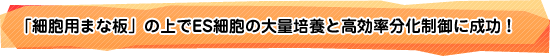 「細胞用まな板」の上でES細胞の大量培養と高効率分化制御に成功！