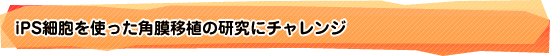 iPS細胞を使った角膜移植の研究にチャレンジ