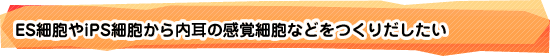 ES細胞やiPS細胞から内耳の感覚細胞などをつくりだしたい