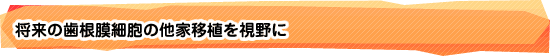 将来の歯根膜細胞の他家移植を視野に