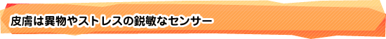 皮膚は異物やストレスの鋭敏なセンサー