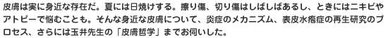 皮膚は実に身近な存在だ。夏には日焼けする。擦り傷、切り傷はしばしばあるし、ときにはニキビやアトピーで悩むことも。そんな身近な皮膚について、炎症のメカニズム、表皮水疱症の再生研究のプロセス、さらには玉井先生の「皮膚哲学」までお伺いした。