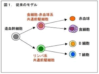 図1.従来のモデル
