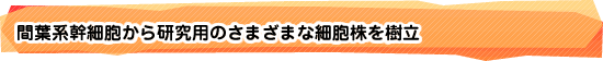 間葉系幹細胞から研究用のさまざまな細胞株を樹立