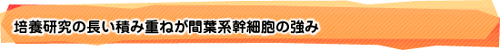 培養研究の長い積み重ねが間葉系幹細胞の強み