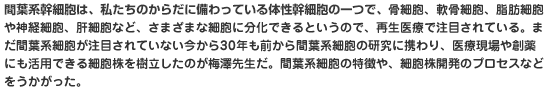 間葉系幹細胞は、私たちのからだに備わっている体性幹細胞の一つで、骨細胞、軟骨細胞、脂肪細胞や神経細胞、肝細胞など、さまざまな細胞に分化できるというので、再生医療で注目されている。まだ間葉系細胞が注目されていない今から30年も前から間葉系細胞の研究に携わり、医療現場や創薬にも活用できる細胞株を樹立したのが梅澤先生だ。間葉系細胞の特徴や、細胞株開発のプロセスなどをうかがった。