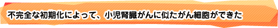 不完全な初期化によって、小児腎臓がんに似たがん細胞ができた