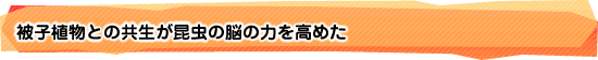 被子植物との共生が昆虫の脳の力を高めた