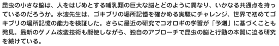 昆虫の小さな脳は、人をはじめとする哺乳類の巨大な脳とどのように異なり、いかなる共通点を持っているのだろうか。水波先生は、ゴキブリの場所記憶を確かめる実験にチャレンジ、世界で初めてゴキブリの場所記憶の能力を検証した。さらに最近の研究でコオロギの学習が「予測」に基づくことも発見。最新のゲノム改変技術も駆使しながら、独自のアプローチで昆虫の脳と行動の本質に迫る研究を続けている。