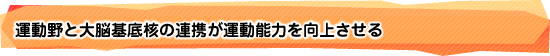 運動野と大脳基底核の連携が運動能力を向上させる