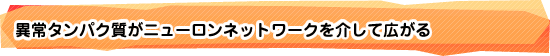 異常タンパク質がニューロンネットワークを介して広がる