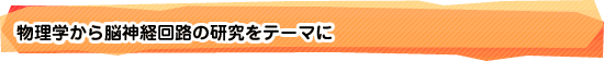 物理学から脳神経回路の研究をテーマに