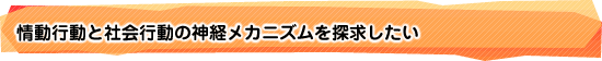 情動行動と社会行動の神経メカニズムを探求したい