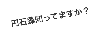 円石藻知ってますか？