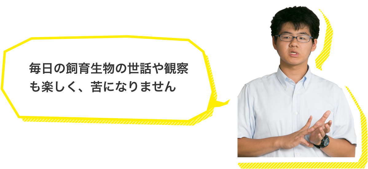 毎日の飼育生物の世話や観察も楽しく、苦になりません