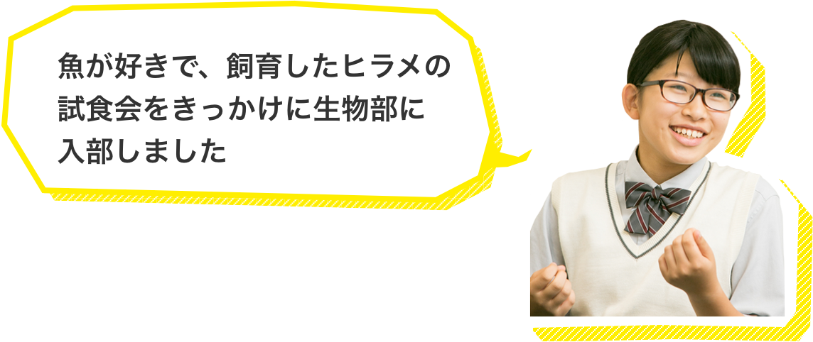 魚が好きで、飼育したヒラメの試食会をきっかけに生物部に入部しました