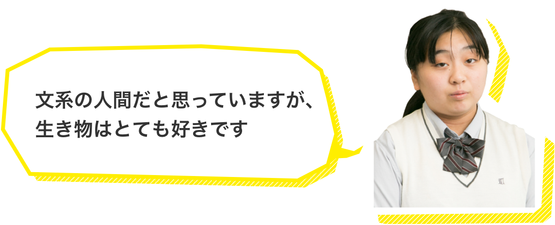 文系の人間だと思っていますが、生き物はとても好きです