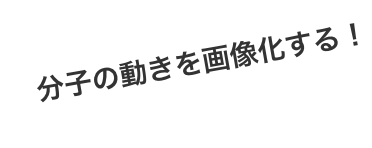 分子の動きを画像化する！