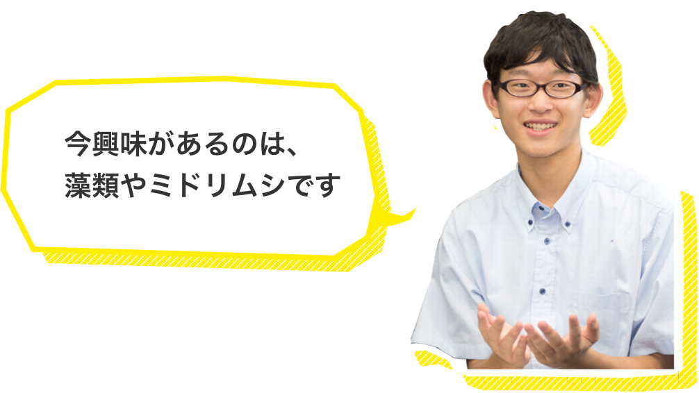 今興味があるのは、藻類やミドリムシです