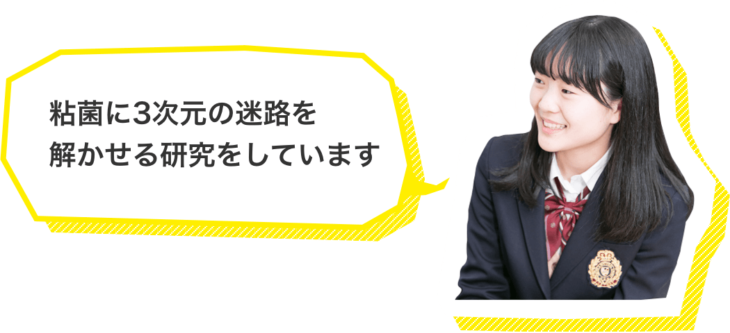 粘菌に3次元の迷路を溶かせる研究をしています