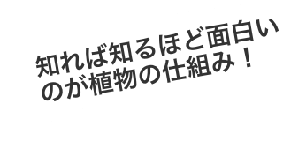 知れば知るほど面白いのが植物の仕組み！