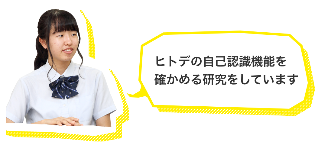 ヒトデの自己認識機能を確かめる研究をしています