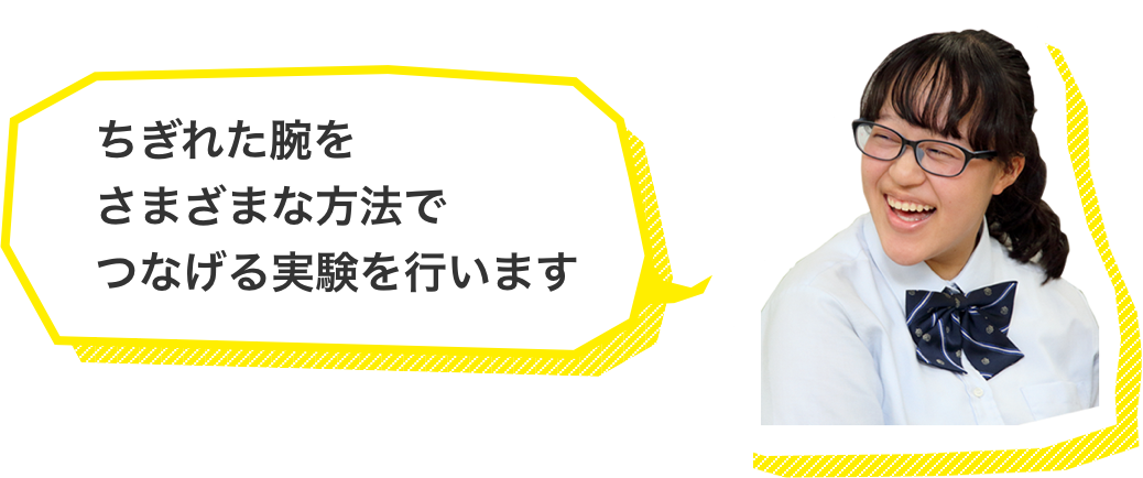 ちぎれた腕をさまざまな方法でつなげる実験を行います