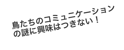 鳥たちのコミュニケーションの謎に興味はつきない！