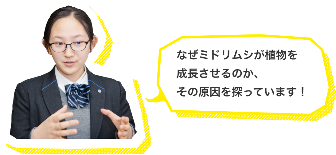 なぜミドリムシが植物を成長させるのか、その原因を探っています!