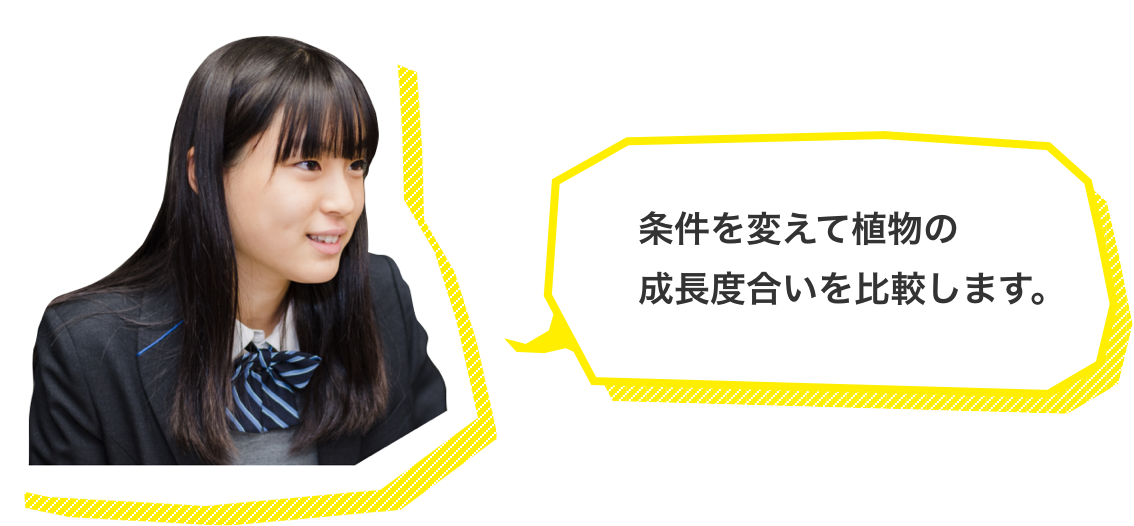 条件を変えて植物の成長度合いを比較します。