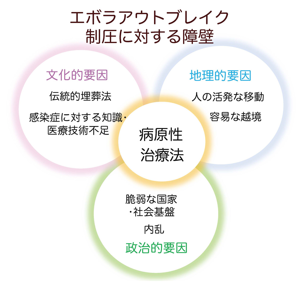 第9回 中高校生が第一線の研究者を訪問 これから研究の話をしよう 中高生と いのちの不思議 を考える 生命科学dokidoki研究室