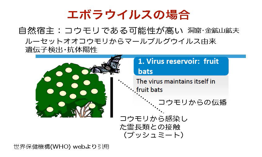 第9回 中高校生が第一線の研究者を訪問 これから研究の話をしよう 中高生と いのちの不思議 を考える 生命科学dokidoki研究室