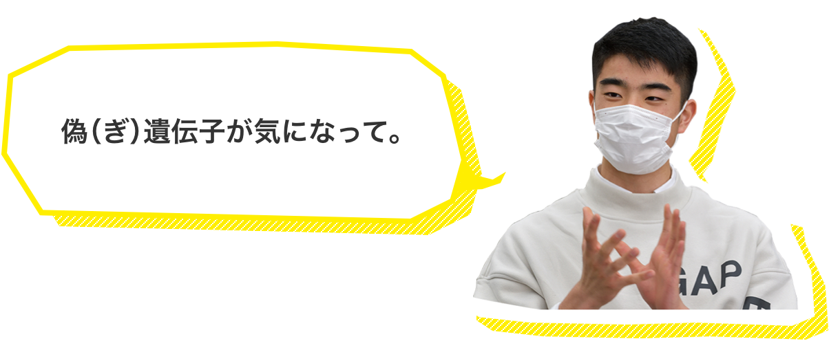 偽（ぎ）遺伝子が気になって。